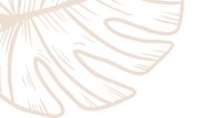Column Vector 1